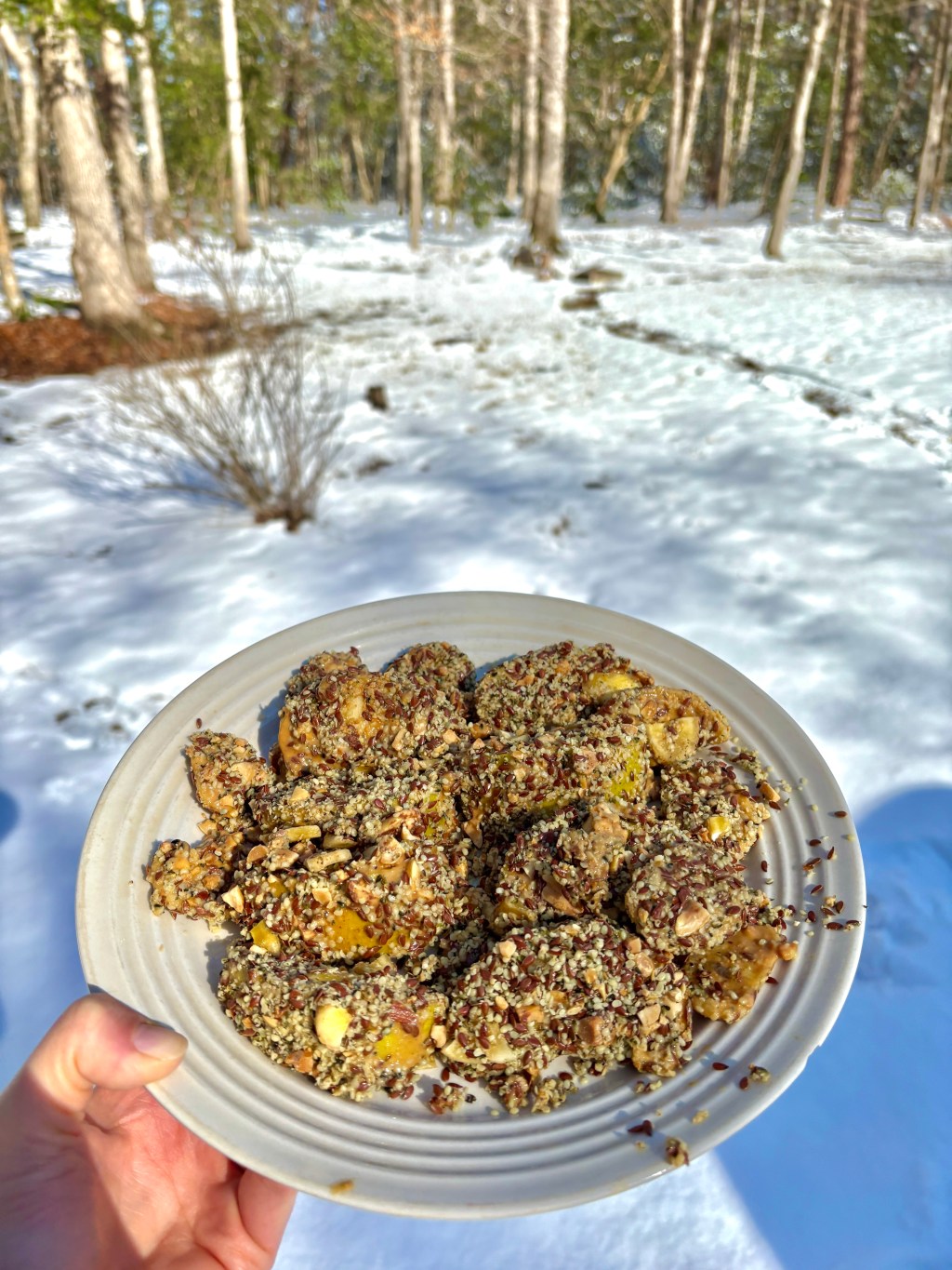 Fun Winter Craft: Feeding Our Feathered & Furry&nbsp;Friends