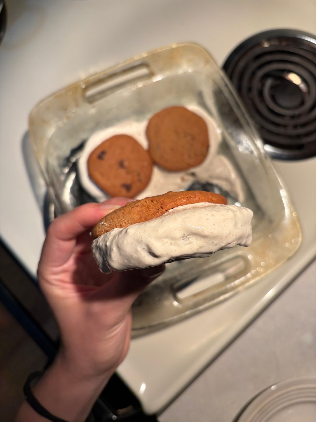 🍪 Protein “Ice Cream” Cookiewiches