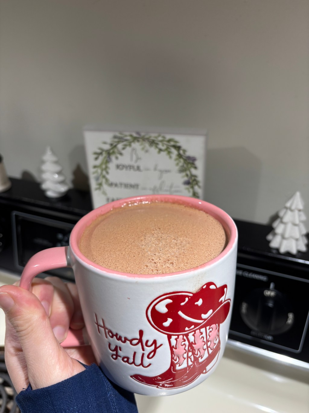 High-Protein Hot Chocolate (No Junk Ingredients)